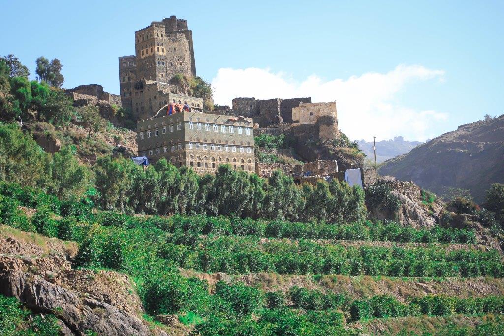 Yemen Coffee Farms