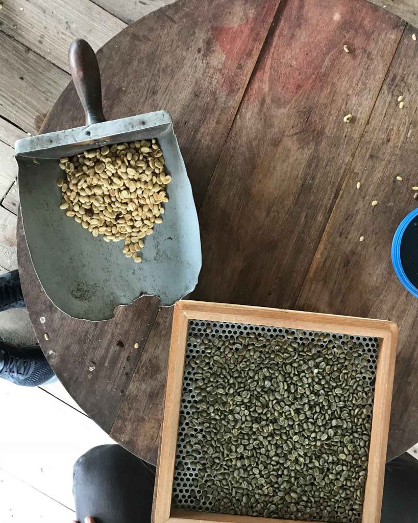 Rare &amp; Exotic: Colombia - San Jose Heirloom