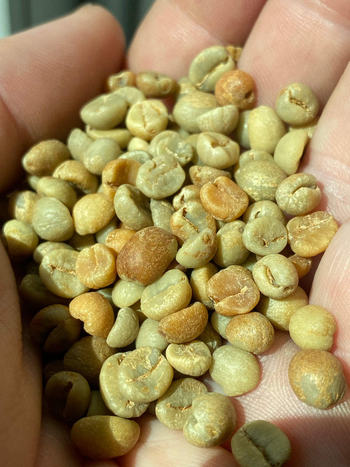 Mokkita Grand Cru 2021 Auction Lot Mojave Vault Oak Barrel Aged - 4oz WHOLE BEAN