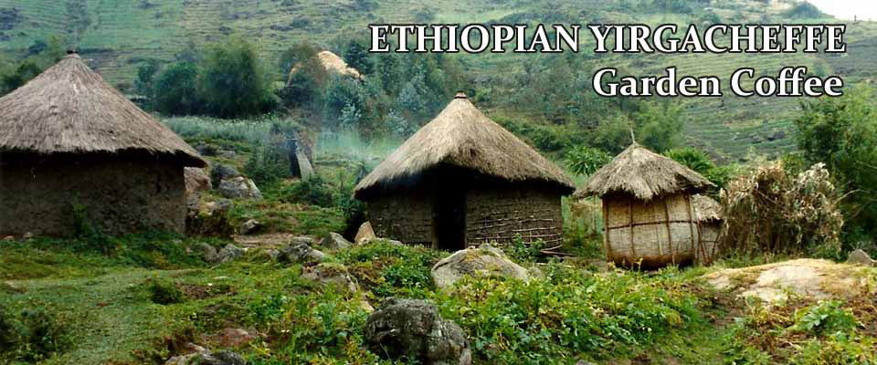 Ethiopia SuperNatural Micro-Lot